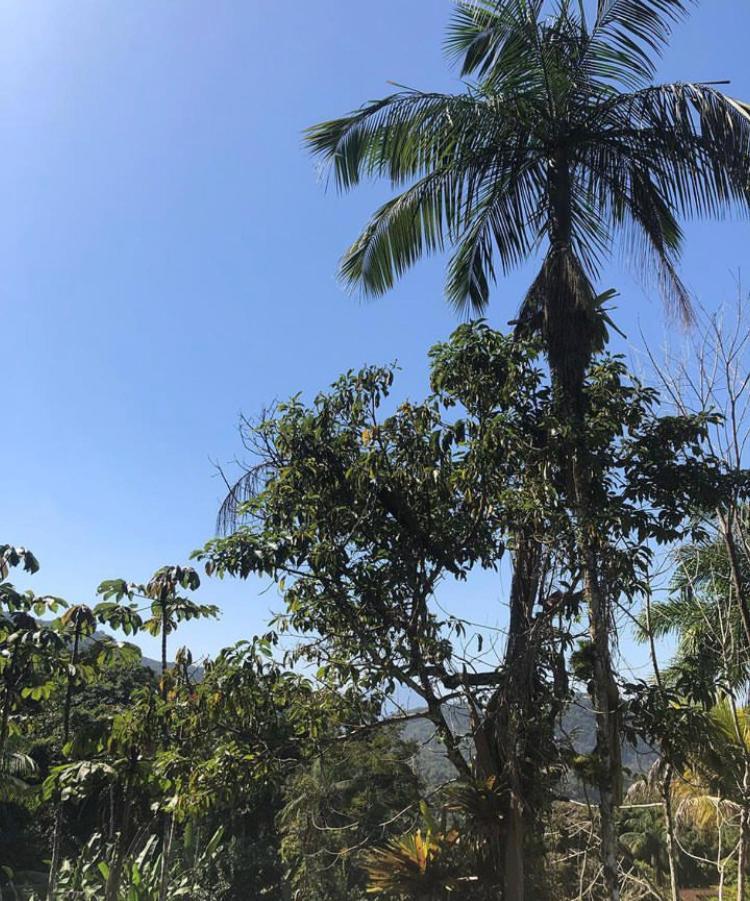 Casa Amarela Prumirim Ubatuba Εξωτερικό φωτογραφία