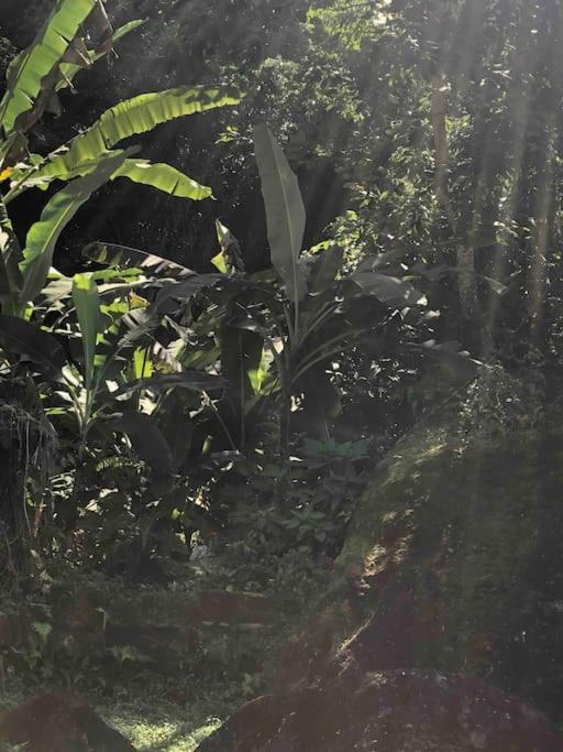 Casa Amarela Prumirim Ubatuba Εξωτερικό φωτογραφία